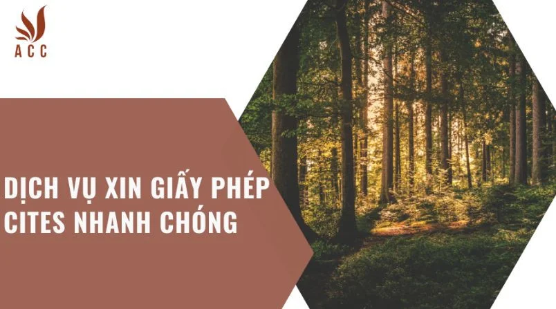 Dịch vụ xin giấy phép CITES nhanh chóng