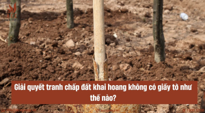 giai-quyet-tranh-chap-dat-khai-hoang-khong-co-giay-to-nhu-the-nao