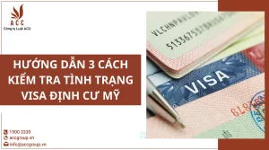 huong-dan-3-cach-kiem-tra-tinh-trang-visa-dinh-cu-my