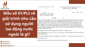 mau-so-01pli-ve-giai-trinh-nhu-cau-su-dung-nguoi-lao-dong-nuoc-ngoai-la-gi