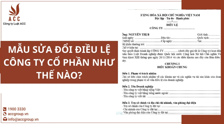 mau-sua-doi-dieu-le-cong-ty-co-phan-nhu-the-nao