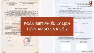 phan-biet-phieu-ly-lich-tu-phap-so-1-va-so-2