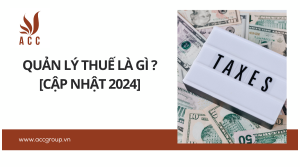 quan-ly-thue-la-gi-cap-nhat-2024