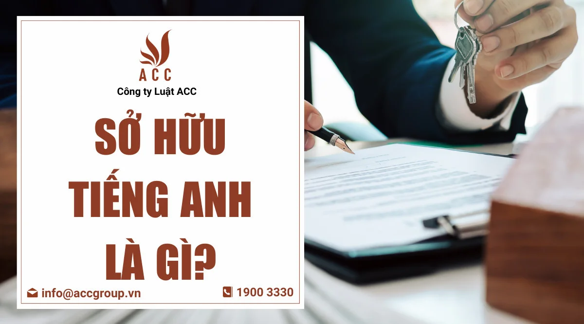 Sở hữu tiếng Anh là gì?