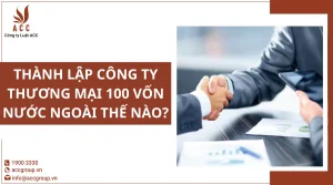 thanh-lap-cong-ty-thuong-mai-100-von-nuoc-ngoai-the-nao