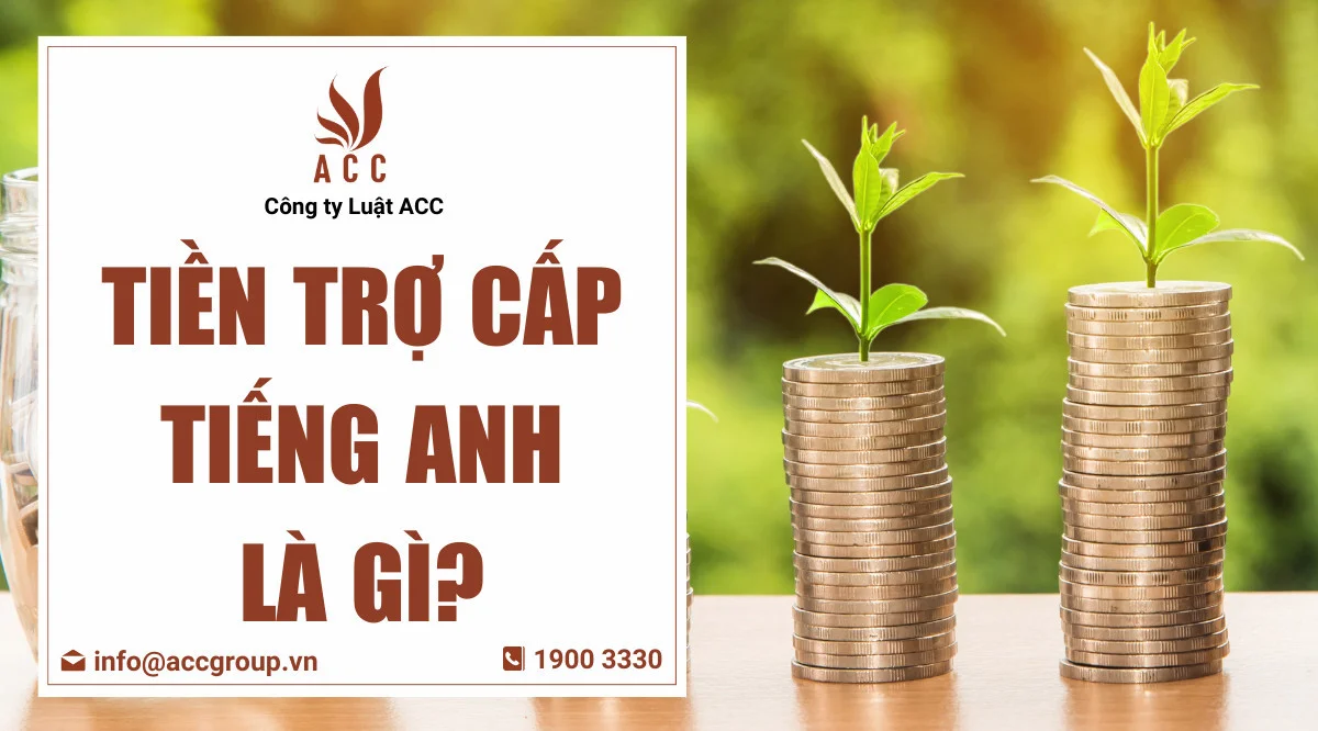 Tiền trợ cấp tiếng Anh là gì?