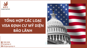 tong-hop-cac-loai-visa-dinh-cu-my-dien-bao-lanh