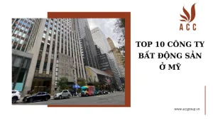 top-10-cong-ty-bat-dong-san-o-my