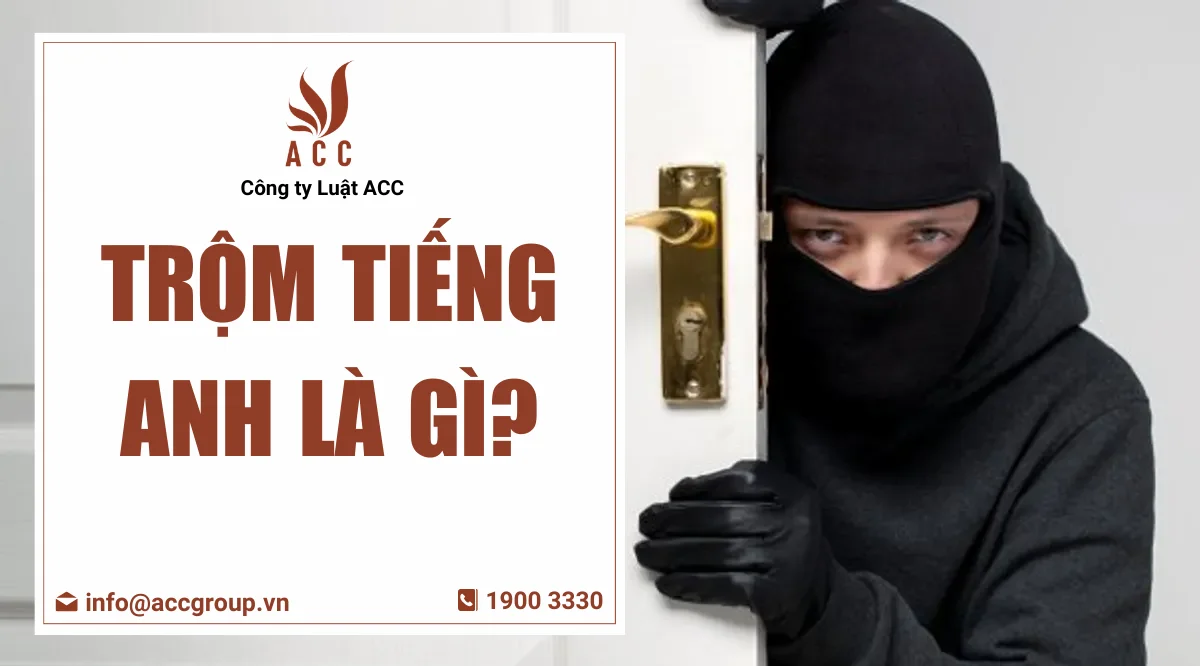 Trộm tiếng Anh là gì?