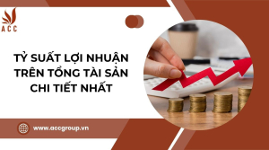 ty-suat-loi-nhuan-tren-tong-tai-san-chi-tiet-nhat