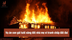 vu-con-gai-tuoi-xang-dot-nha-me-vi-tranh-chap-dat-dai