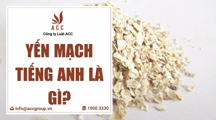 Yến mạch tiếng Anh là gì?