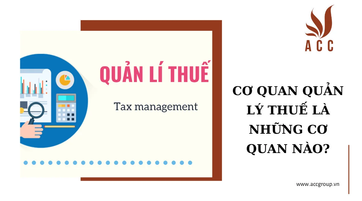 Cơ quan quản lý thuế là những cơ quan nào?