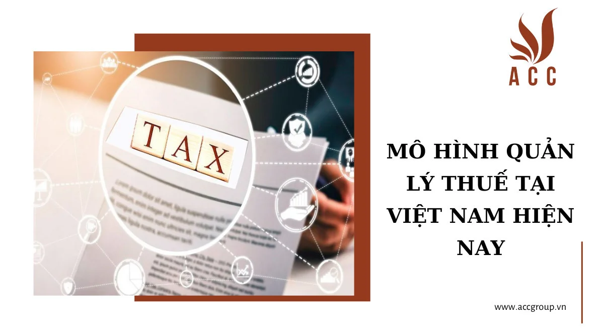 Mô hình quản lý thuế tại Việt Nam hiện nay