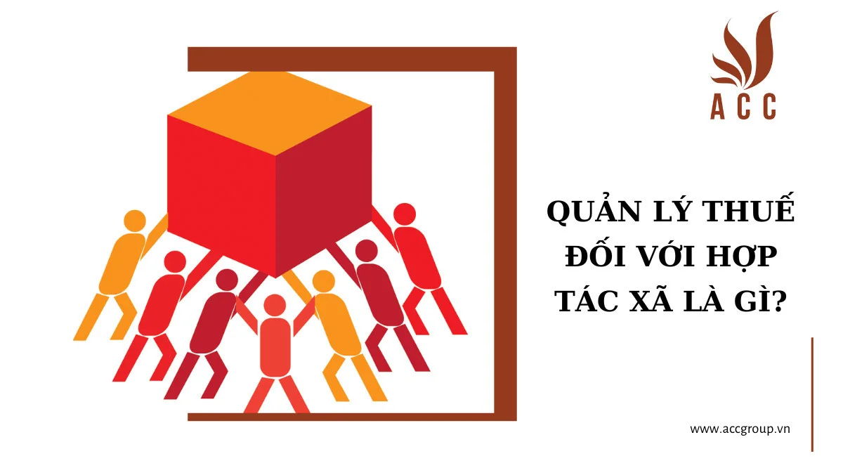 Quản lý thuế đối với hợp tác xã là gì?