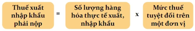 cong-thuc-tinh-thue-xuat-nhap-khau-doi-voi-hang-hoa-ap-dung-phuong-phap-tinh-thue-tuyet-doi