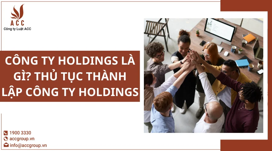 Công ty holdings là gì? Thủ tục thành lập công ty holdings