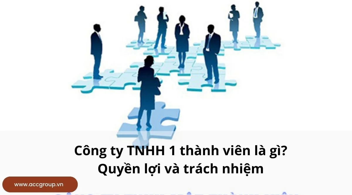 Công ty TNHH 1 thành viên là gì?Quyền lợi và trách nhiệm