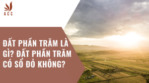 dat-phan-tram-la-gi-dat-phan-tram-co-so-do-khong