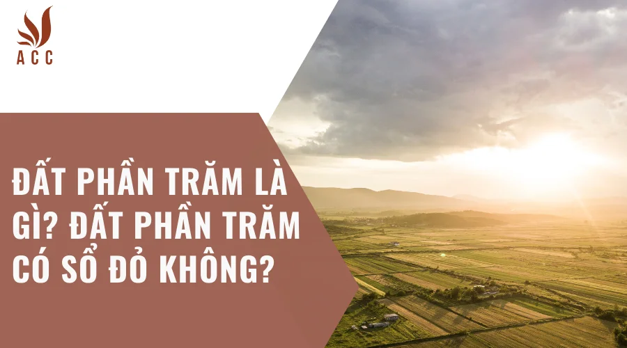 Đất phần trăm là gì? Đất phần trăm có sổ đỏ không?