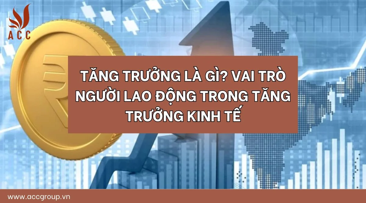 dinh-nghia-tai-khoa-la-gi-phan-loai-chinh-sach-tai-khoa-1