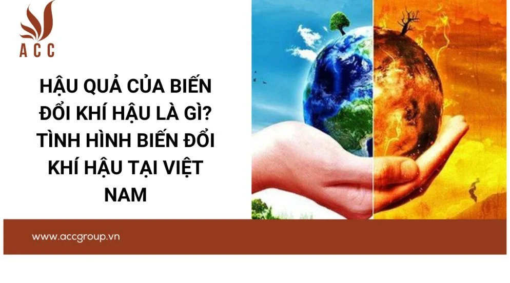 Hậu quả của biến đổi khí hậu là gì? Tình hình biến đổi khí hậu tại Việt Nam
