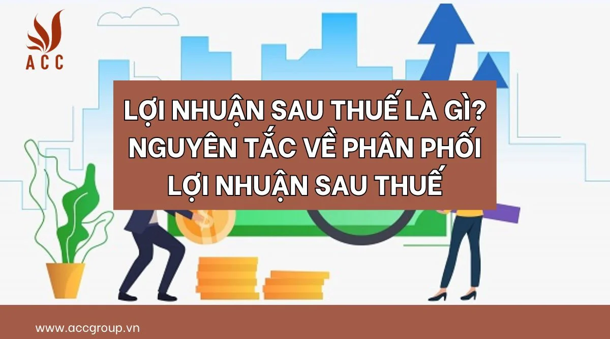 loi-nhuan-sau-thue-la-gi-nguyen-tac-ve-phan-phoi-loi-nhuan-sau-thue