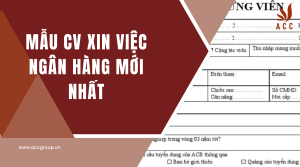 mau-cv-xin-viec-ngan-hang-moi-nhat