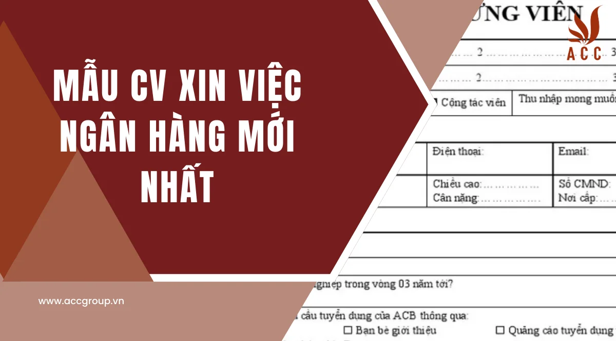 Mẫu CV xin việc ngân hàng mới nhất