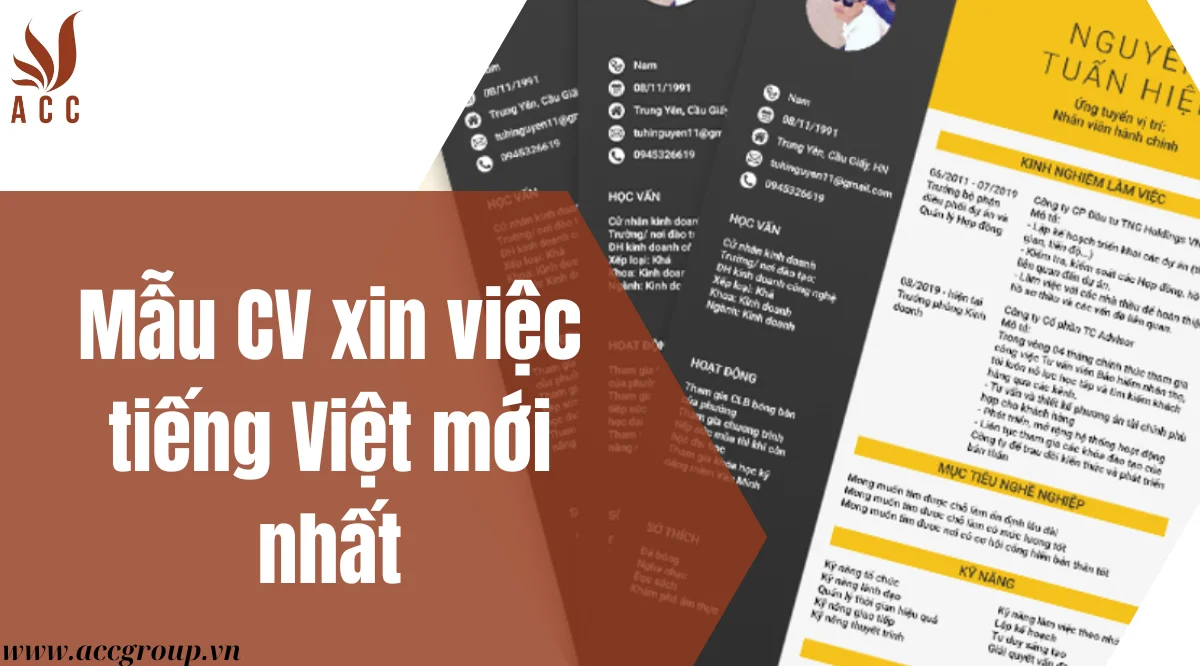 Mẫu CV xin việc tiếng Việt mới nhất