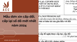 mau-don-xin-cap-doi-cap-lai-so-do-moi-nhat-nam-2024