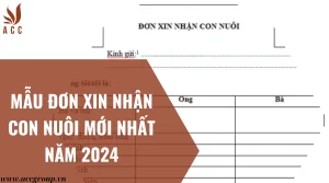 mau-don-xin-nhan-con-nuoi-moi-nhat-nam-2024