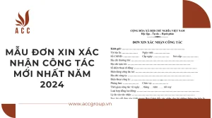 mau-don-xin-xac-nhan-cong-tac-moi-nhat-nam-2024