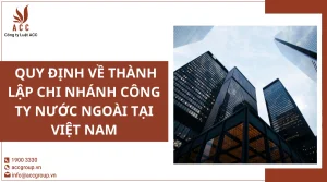 quy-dinh-ve-thanh-lap-chi-nhanh-cong-ty-nuoc-ngoai-tai-viet-nam