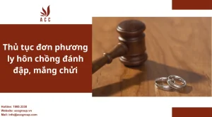 thu-tuc-don-phuong-ly-hon-chong-danh-dap-mang-chui