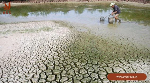 Tình hình biến đổi khí hậu tại Việt Nam