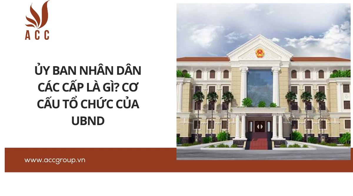 Ủy ban nhân dân các cấp là gì? Cơ cấu tổ chức của UBND