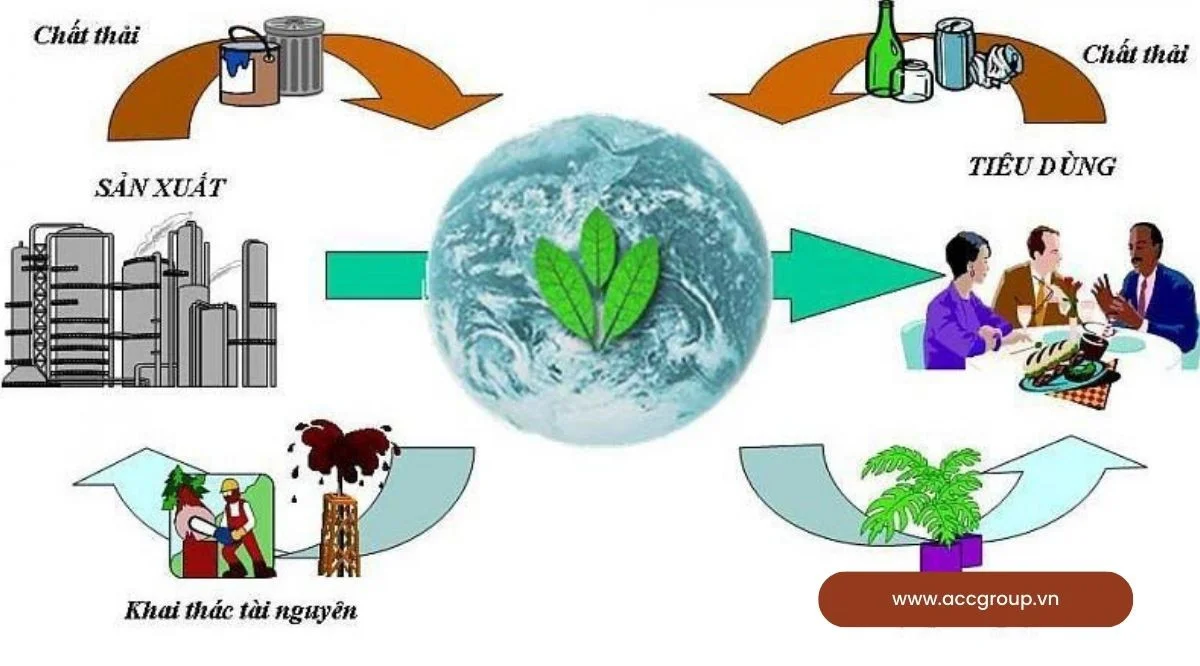 Vai trò của môi trường 