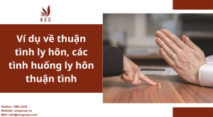 vi-du-ve-thuan-tinh-ly-hon-cac-tinh-huong-ly-hon-thuan-tinh