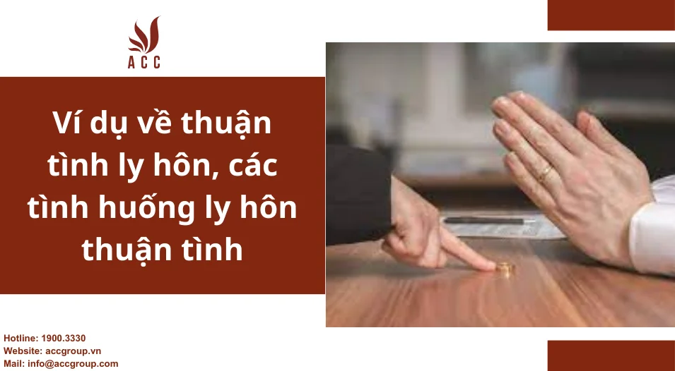 Ví dụ về thuận tình ly hôn, các tình huống ly hôn thuận tình