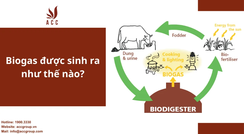 biogas-duoc-sinh-ra-nhu-the-nao