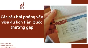 cac-cau-hoi-phong-van-visa-du-lich-han-quoc-thuong-gap