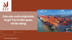 can-can-xuat-nhap-khau-la-gi-yeu-to-lien-quan-va-tac-dong