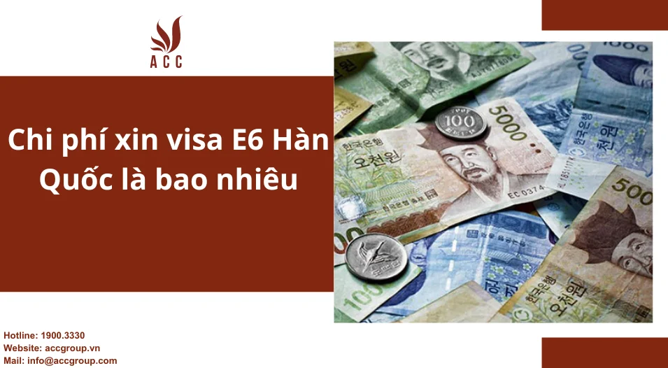 Chi phí xin visa E6 Hàn Quốc là bao nhiêu?