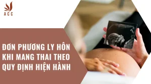 don-phuong-ly-hon-khi-mang-thai-theo-quy-dinh-hien-hanh