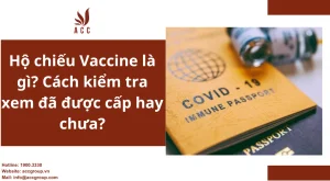 ho-chieu-vaccine-la-gi-cach-kiem-tra-xem-da-duoc-cap-hay-chua