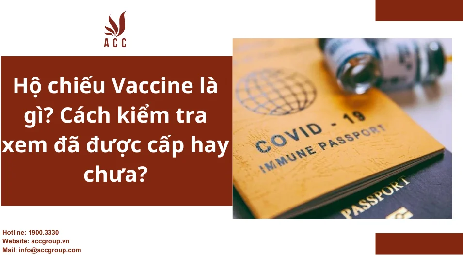 Hộ chiếu Vaccine là gì Cách kiểm tra xem đã được cấp hay chưa