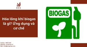 hoa-long-khi-biogas-la-gi-ung-dung-va-co-che