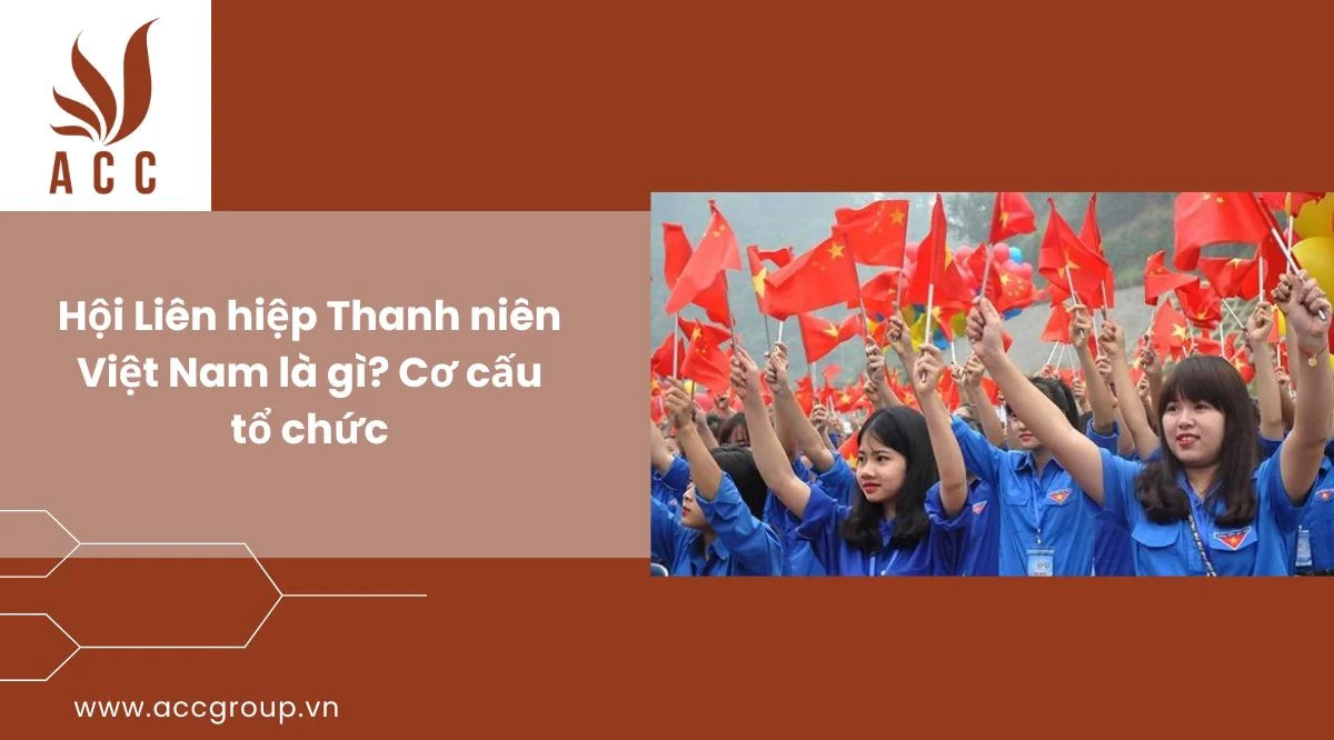 Hội Liên hiệp Thanh niên Việt Nam là gì? Cơ cấu tổ chức và nhiệm vụ