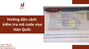 huong-dan-cach-kiem-tra-ma-code-visa-han-quoc-1